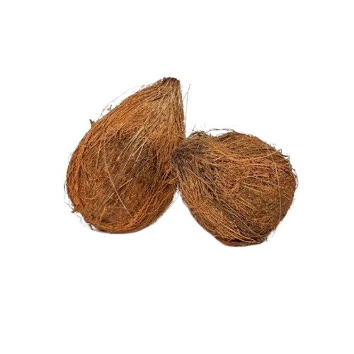 Semi husked coconut